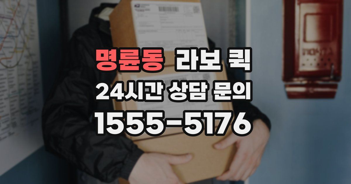 명륜동 라보 퀵