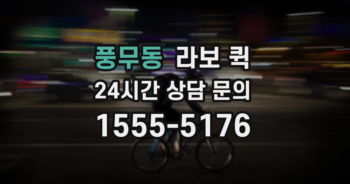 풍무동 라보 퀵