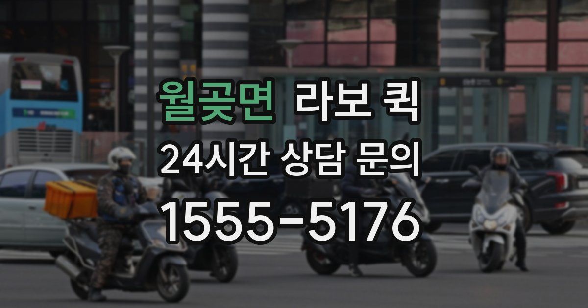 월곶면 라보 퀵