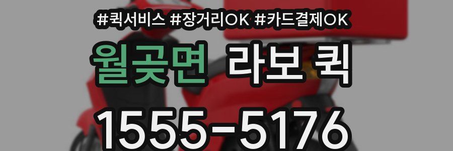 월곶면 라보 퀵