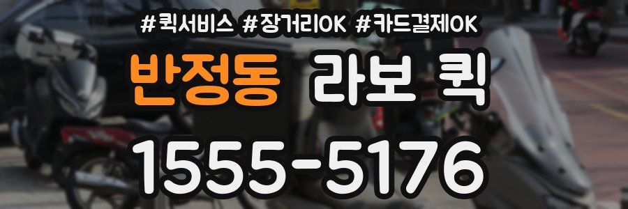 반정동 라보 퀵