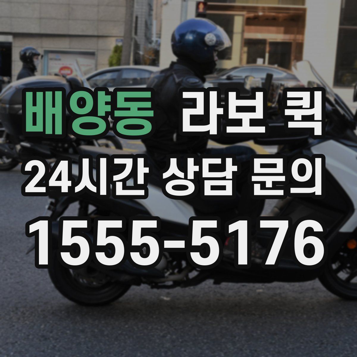 배양동 라보 퀵