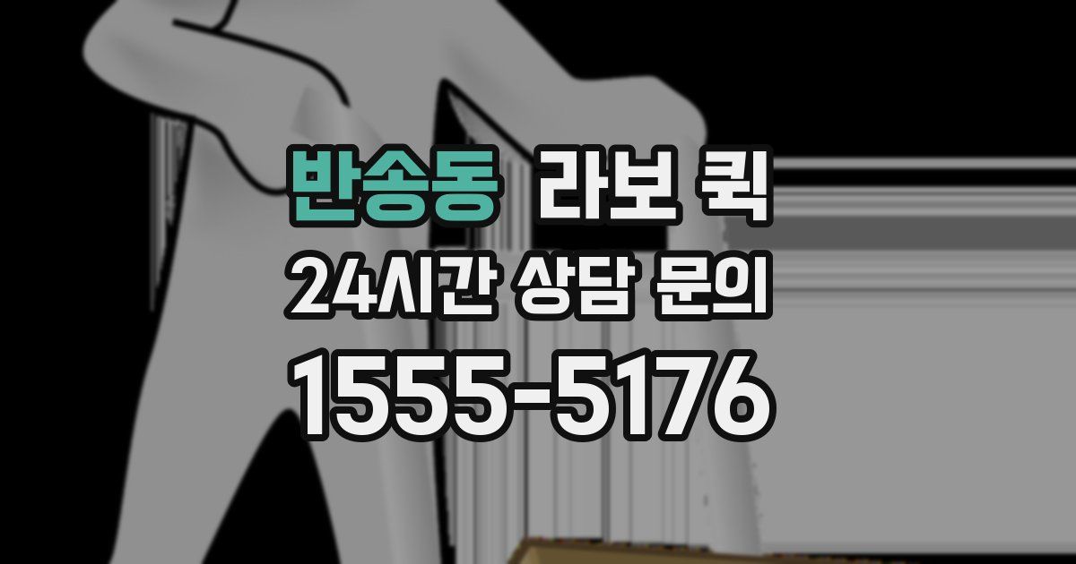 반송동 라보 퀵