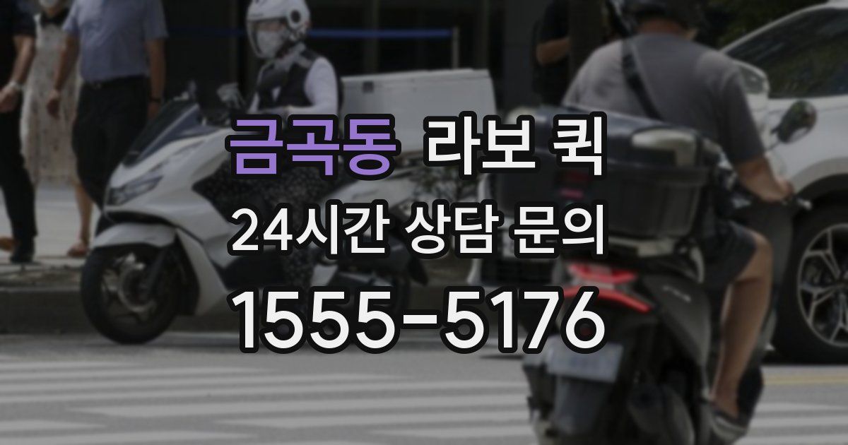 금곡동 라보 퀵