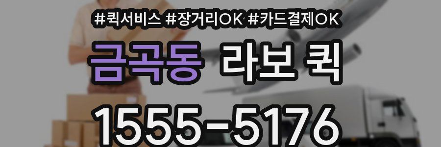 금곡동 라보 퀵