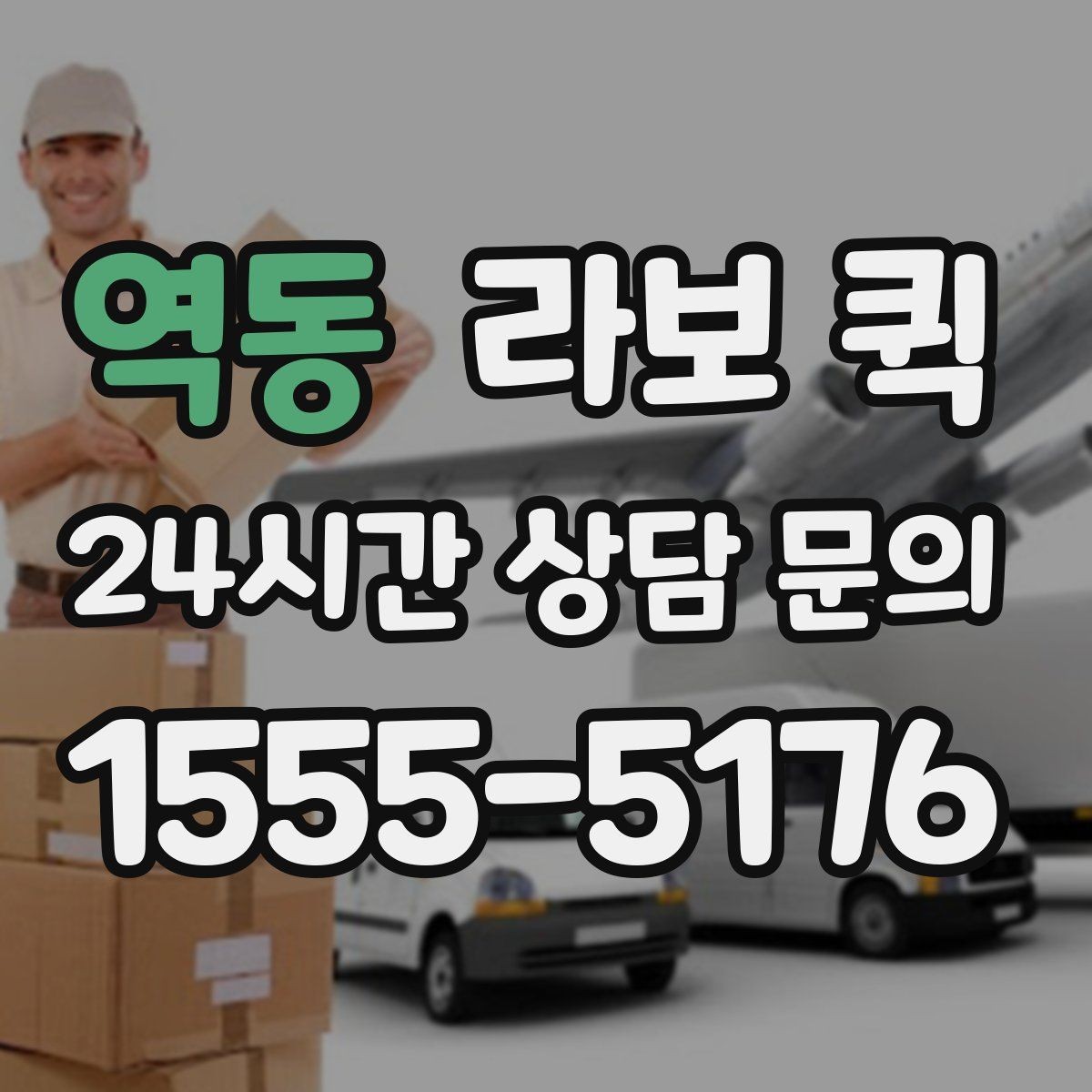 역동 라보 퀵 박스가 애매하게 많을 때 가장 실용적인 선택