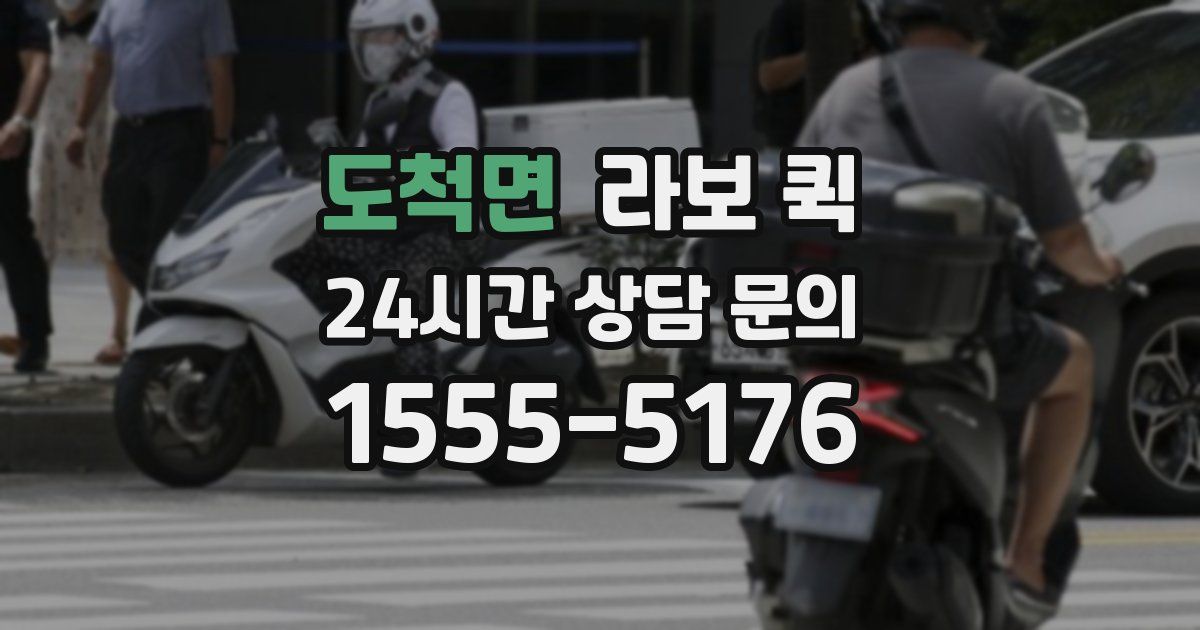 도척면 라보 퀵