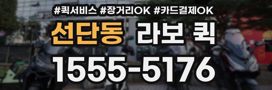 선단동 라보 퀵