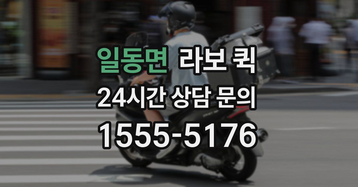 일동면 라보 퀵