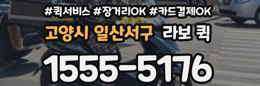 고양시 일산서구 라보 퀵