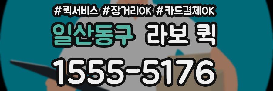 일산동구 라보 퀵