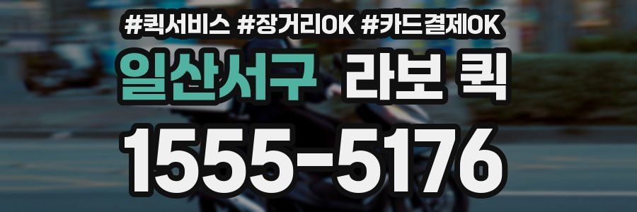 일산서구 라보 퀵