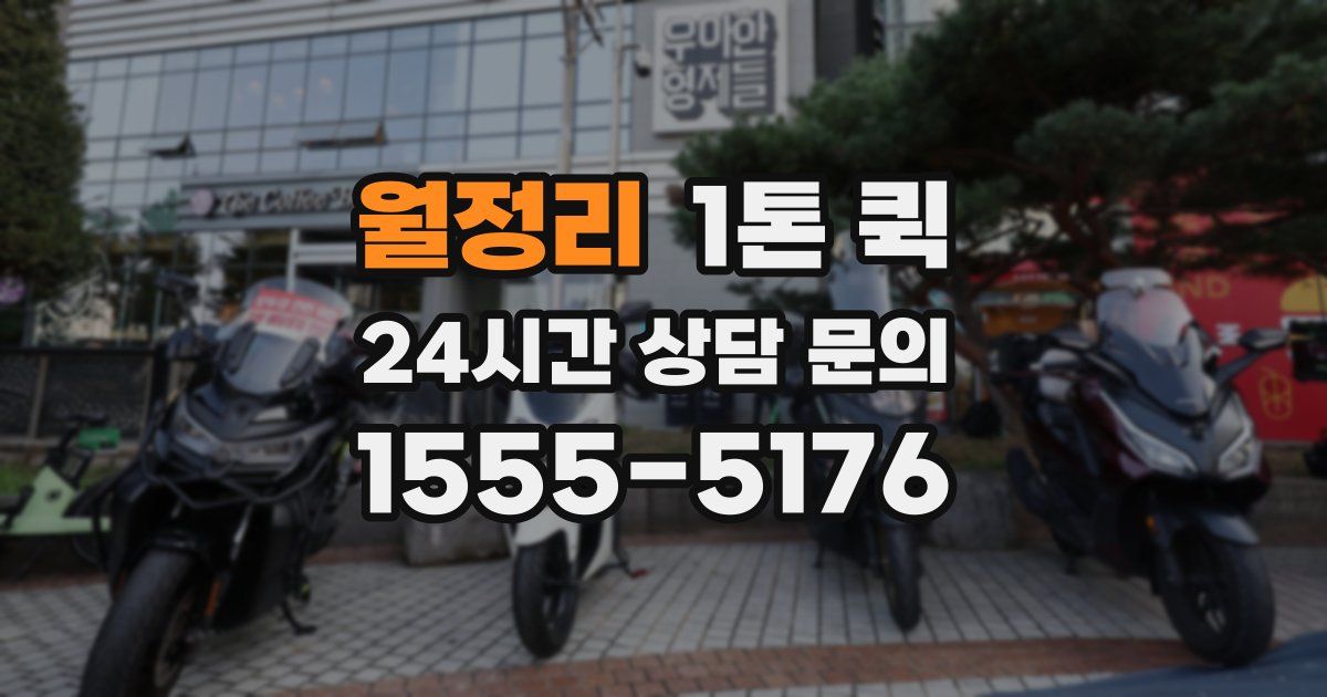 월정리 1톤 퀵