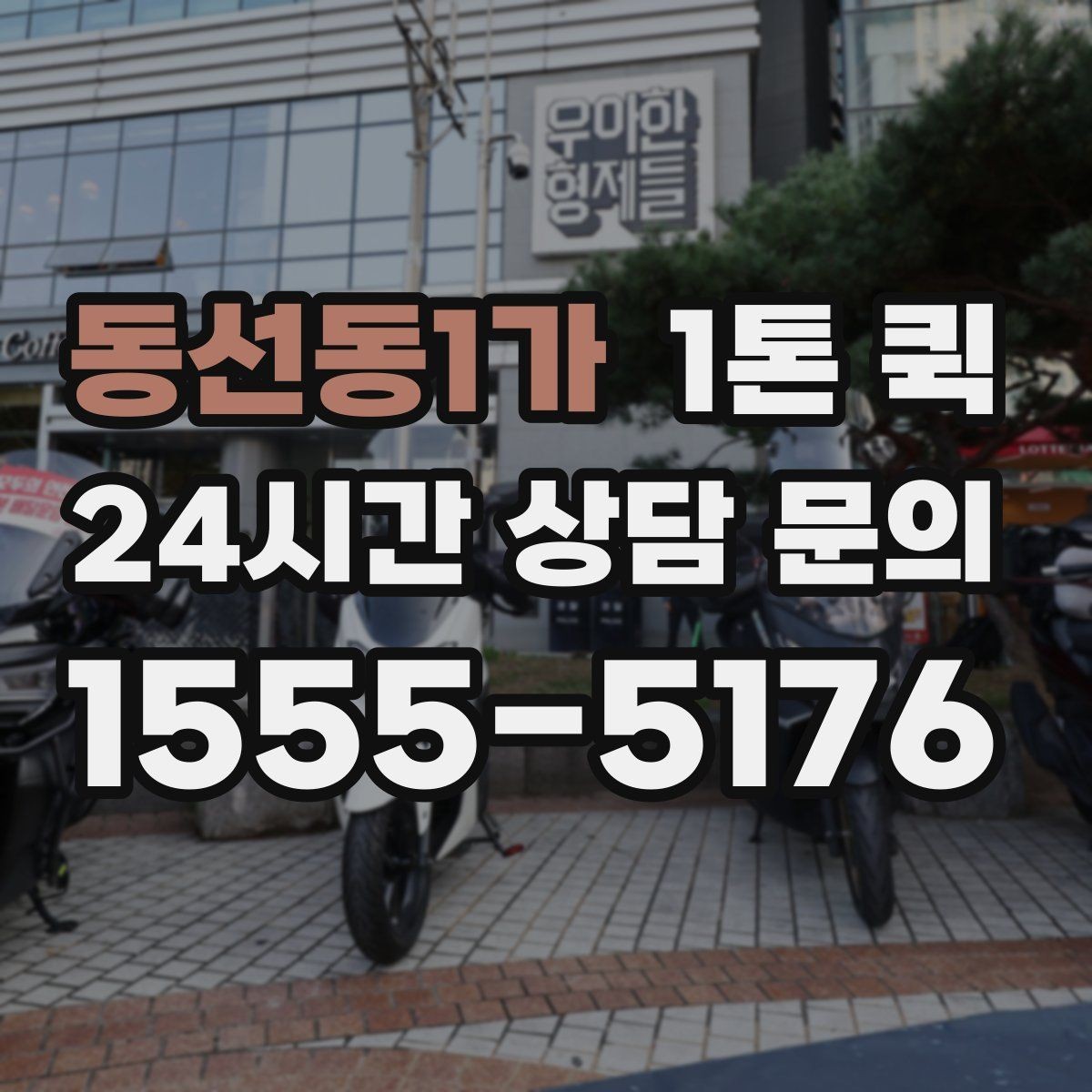 동선동1가 1톤 퀵 창고에서 매장으로 긴급 입고가 필요할 때