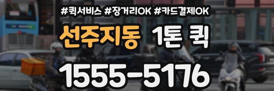 선주지동 1톤 퀵