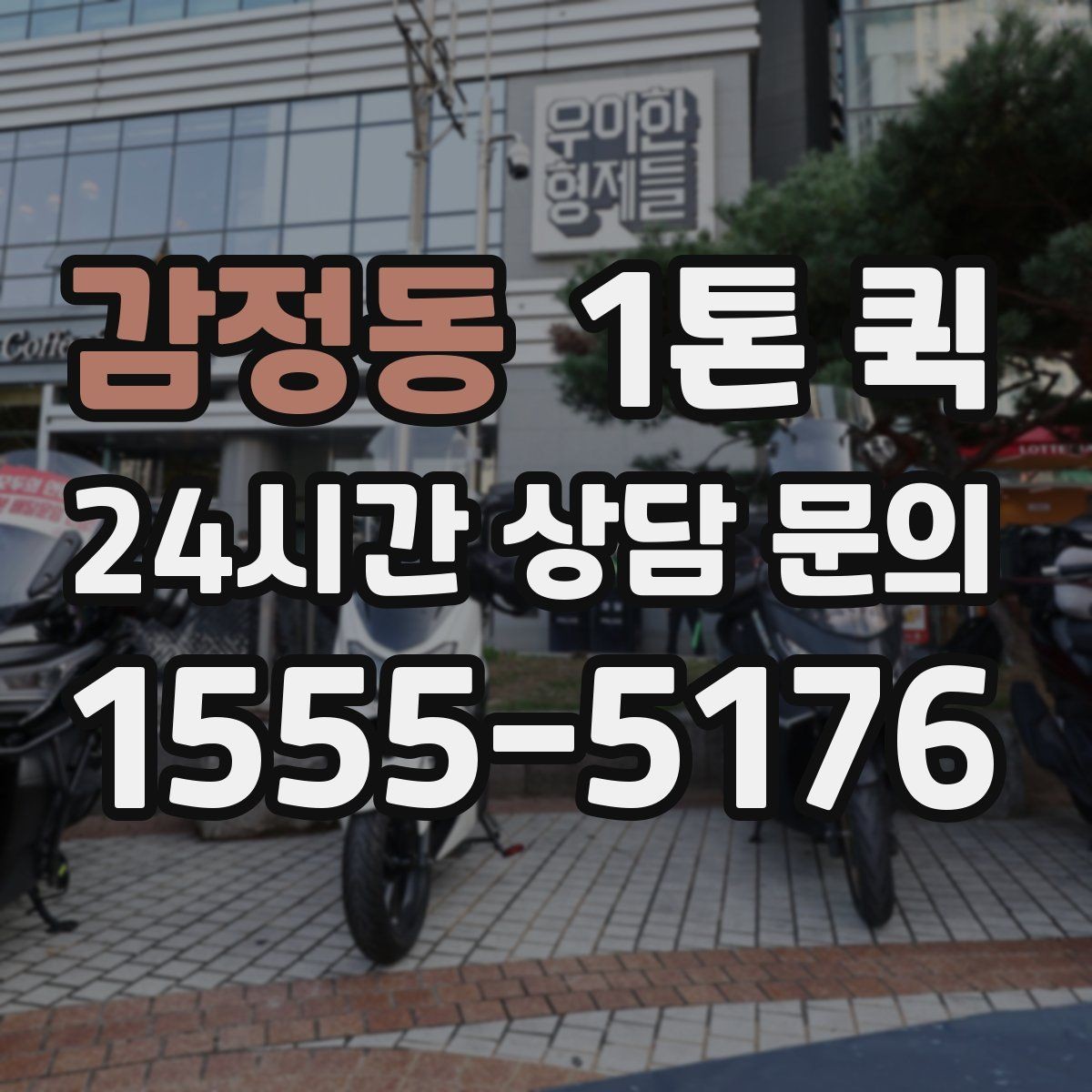 감정동 1톤 퀵 햇빛에 약한 물품을 빠르게 이동하는 요령