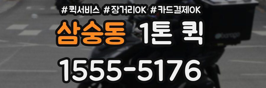 삼숭동 1톤 퀵