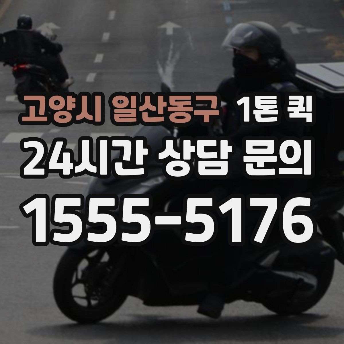 고양시 일산동구 1톤 퀵