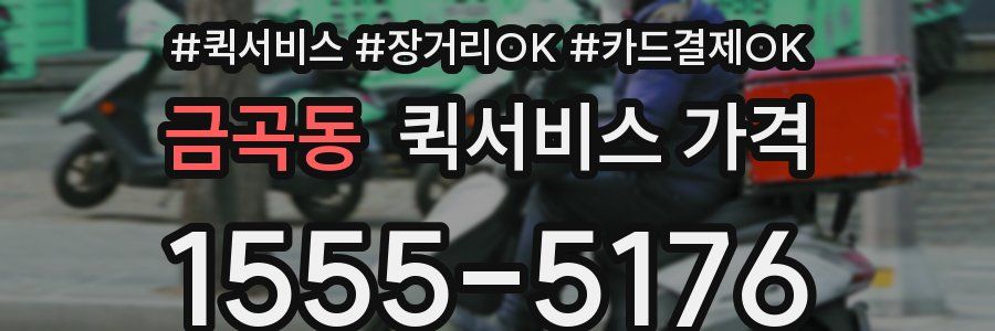 금곡동 퀵서비스 가격