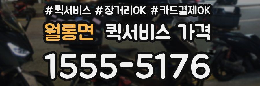 월롱면 퀵서비스 가격