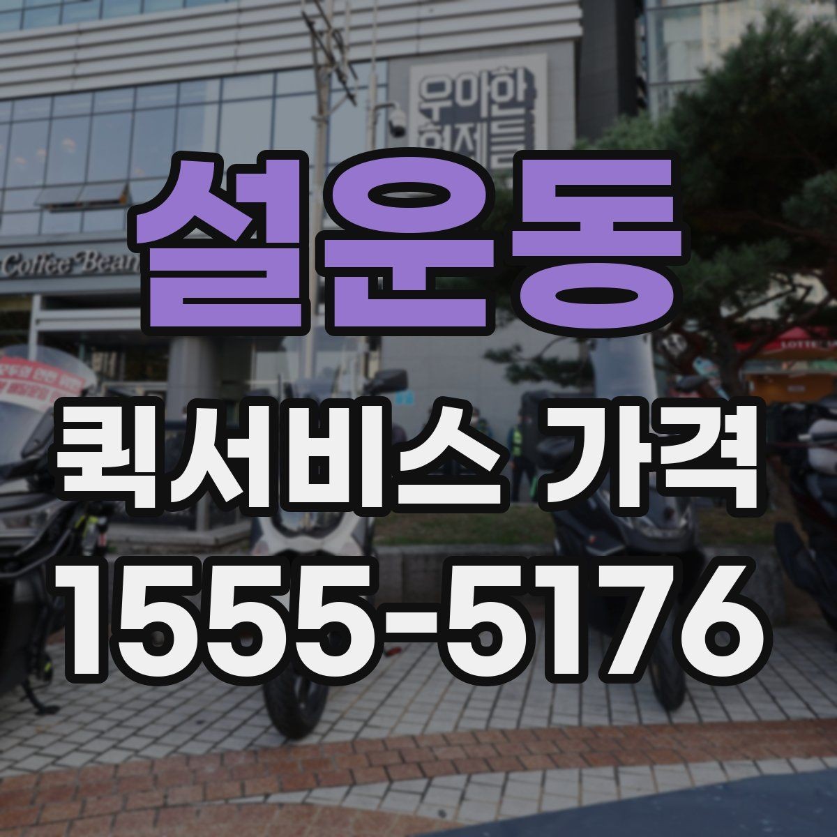설운동 퀵서비스 가격 비교 시 운송 방식별 특징