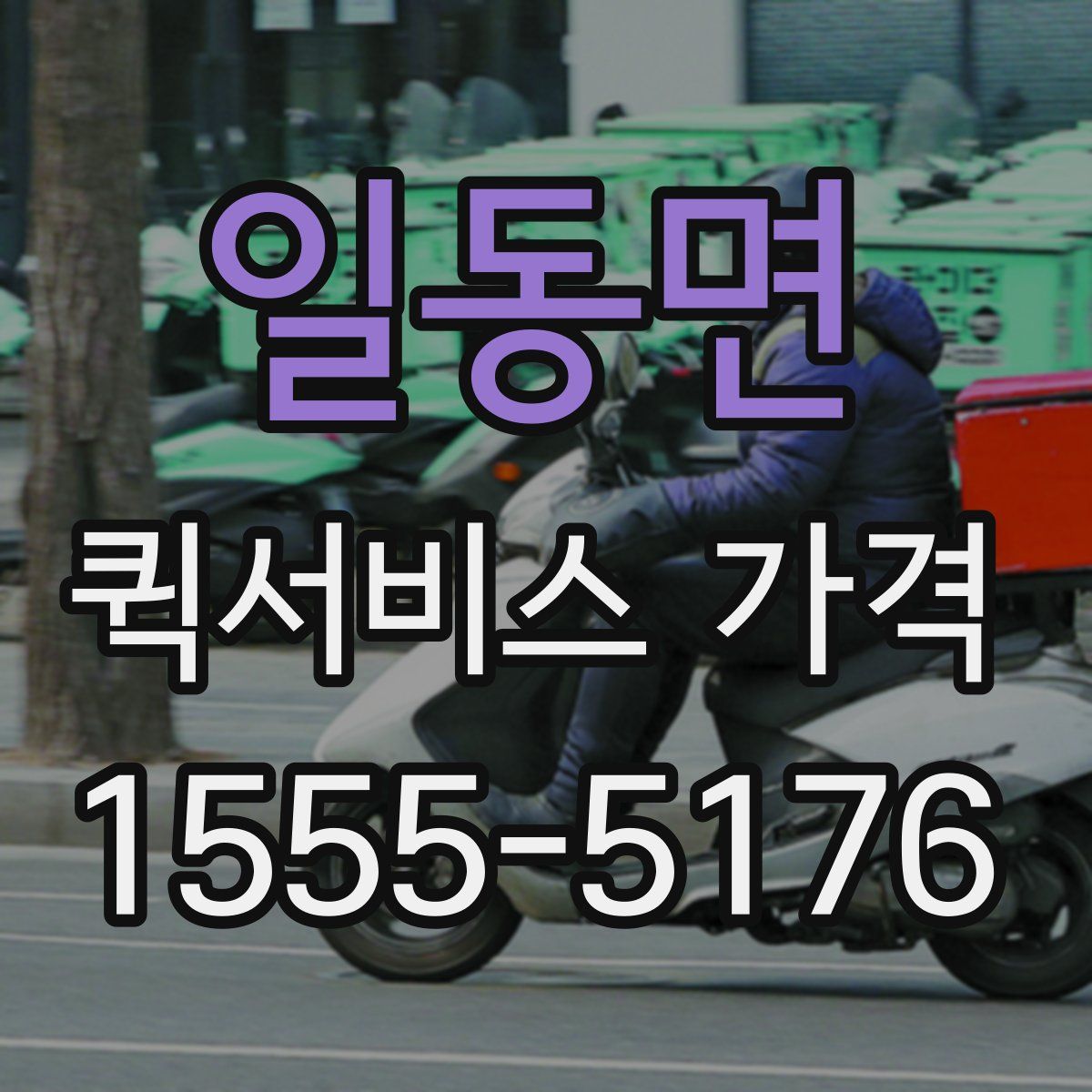 일동면 퀵서비스 가격