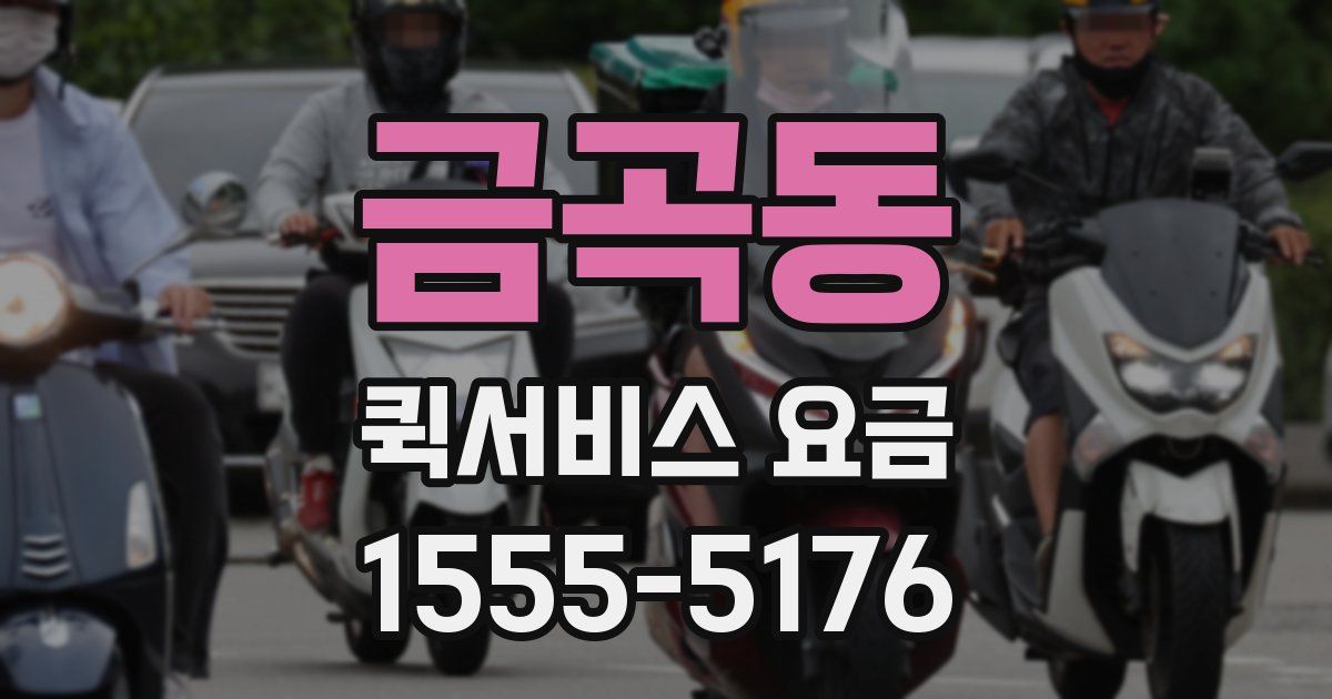금곡동 퀵서비스 요금