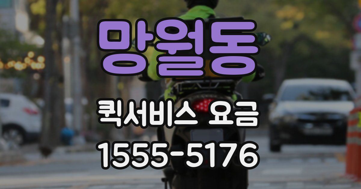 망월동 퀵서비스 요금