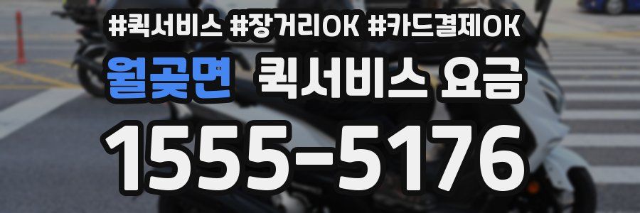 월곶면 퀵서비스 요금