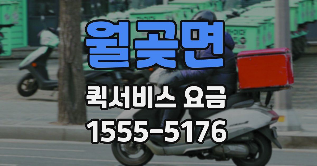 월곶면 퀵서비스 요금