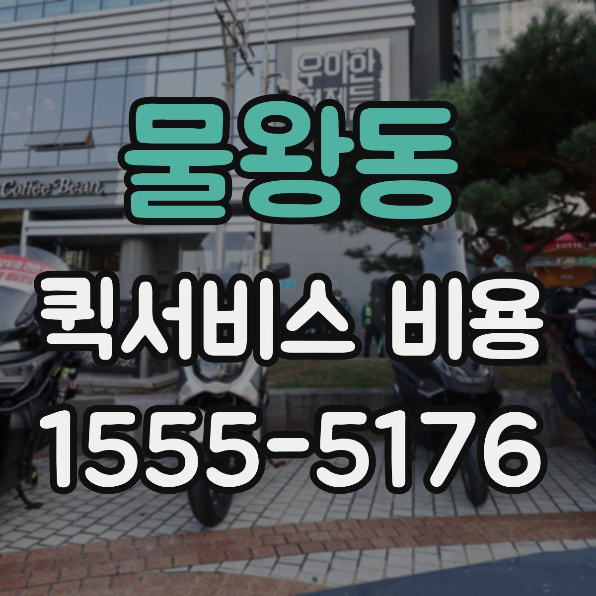 물왕동 퀵서비스 비용