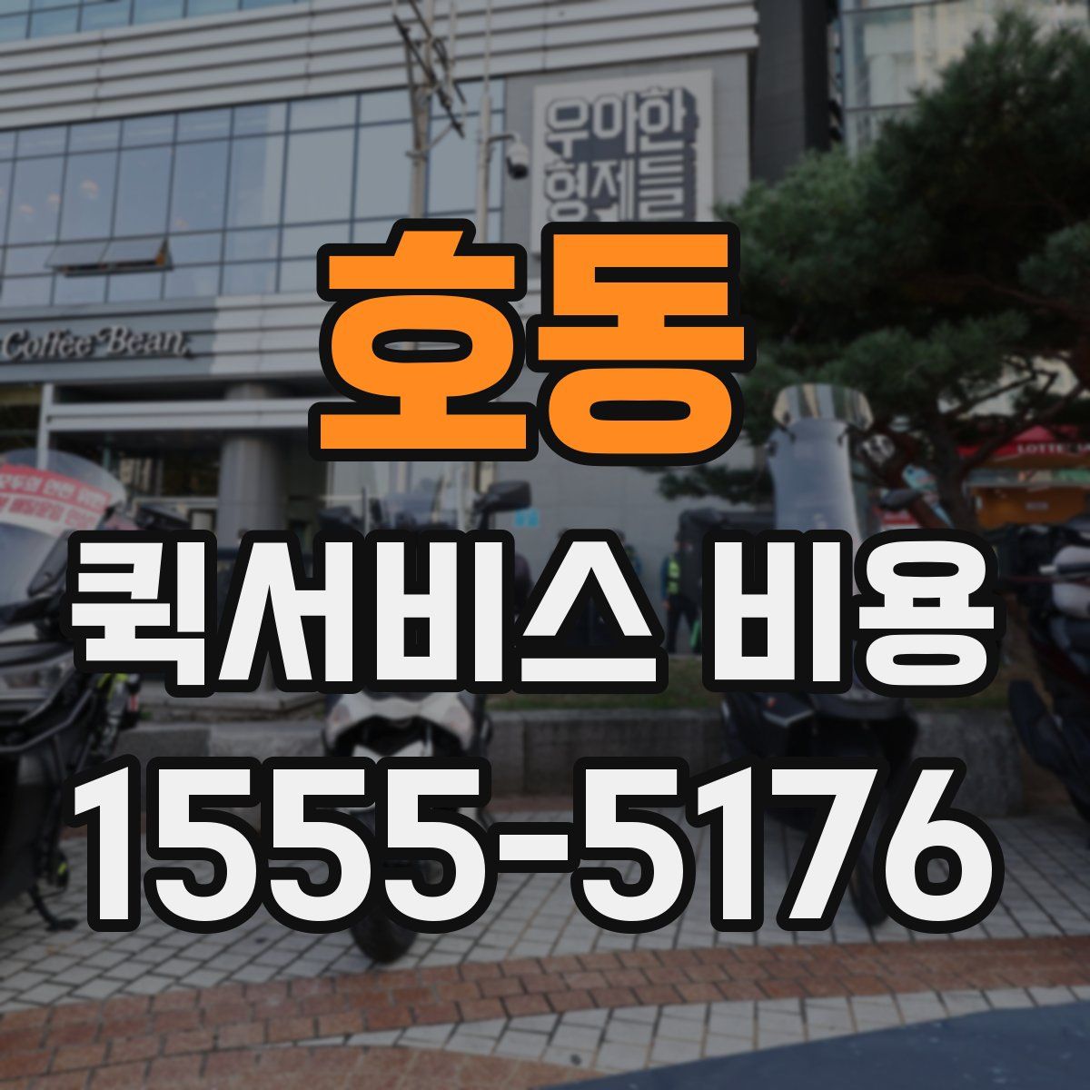 호동 퀵서비스 비용