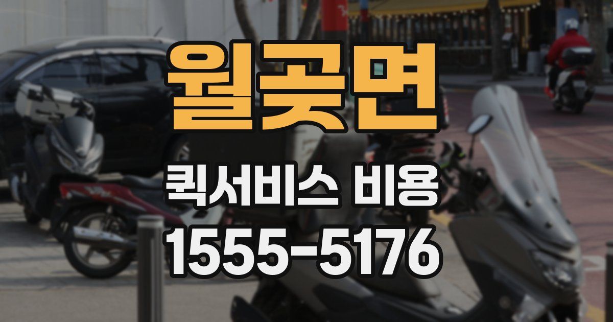 월곶면 퀵서비스 비용