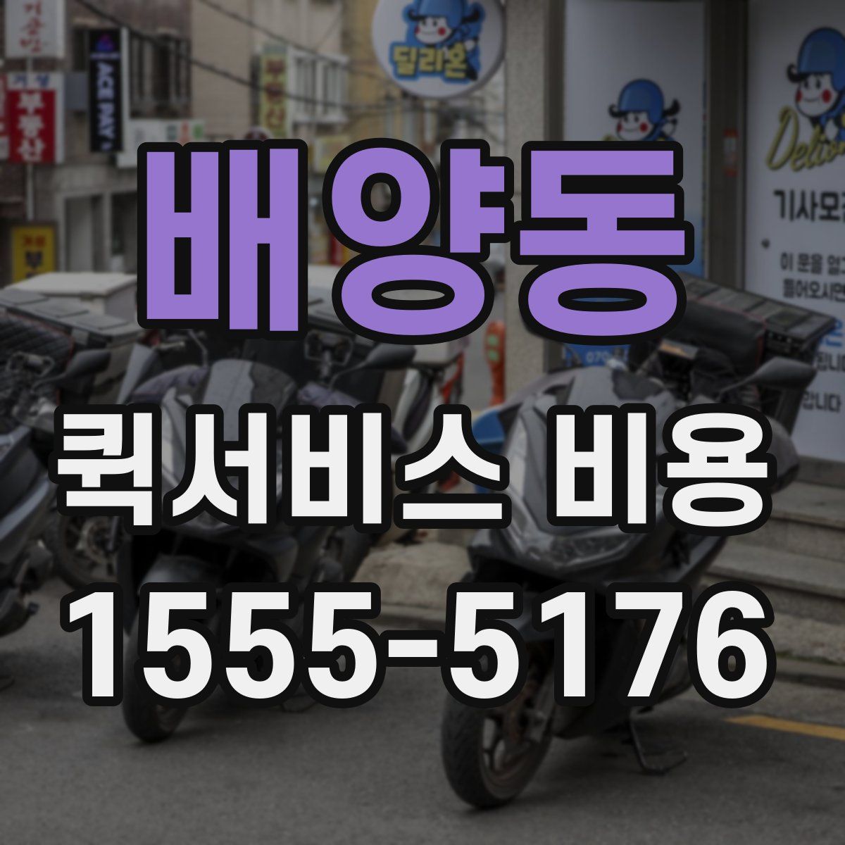 배양동 퀵서비스 비용