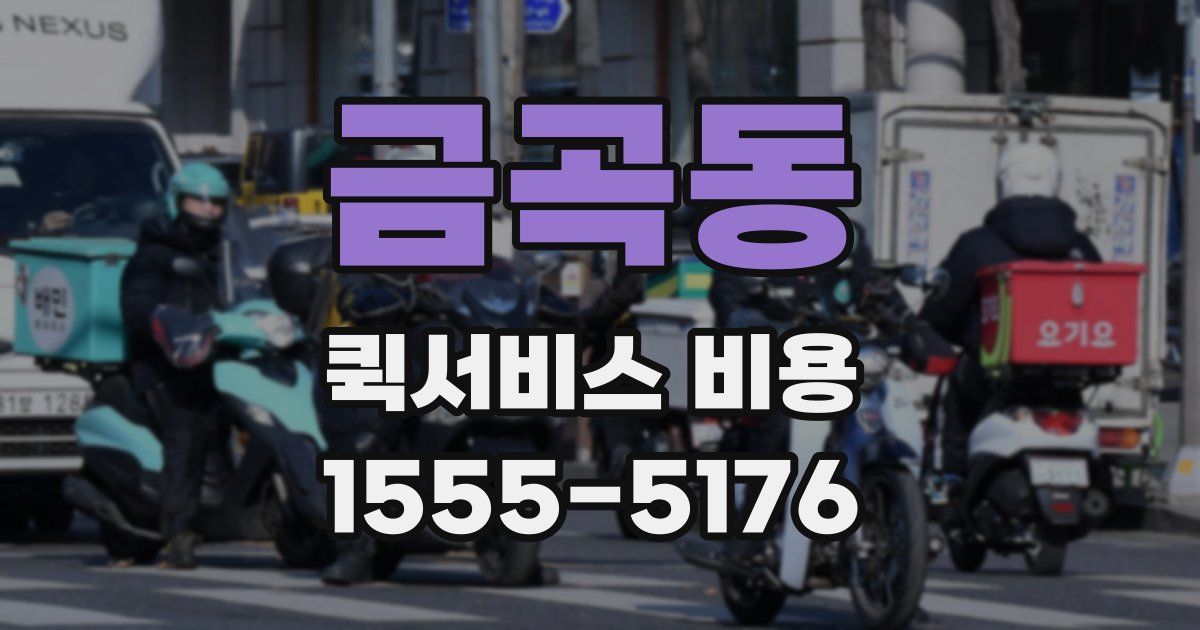 금곡동 퀵서비스 비용