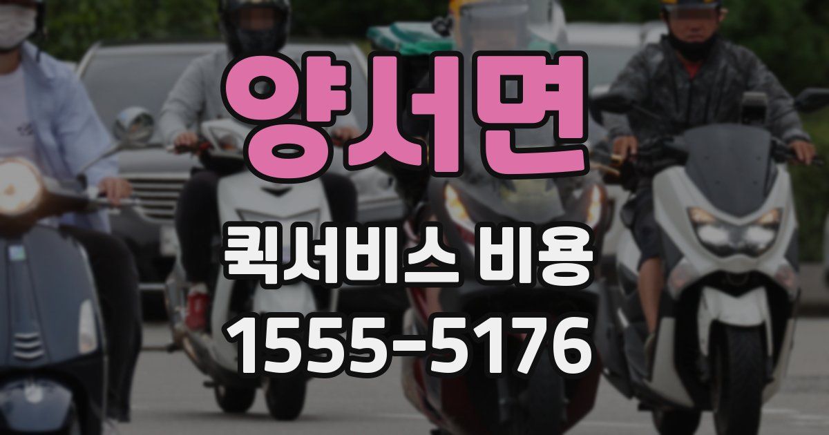 양서면 퀵서비스 비용