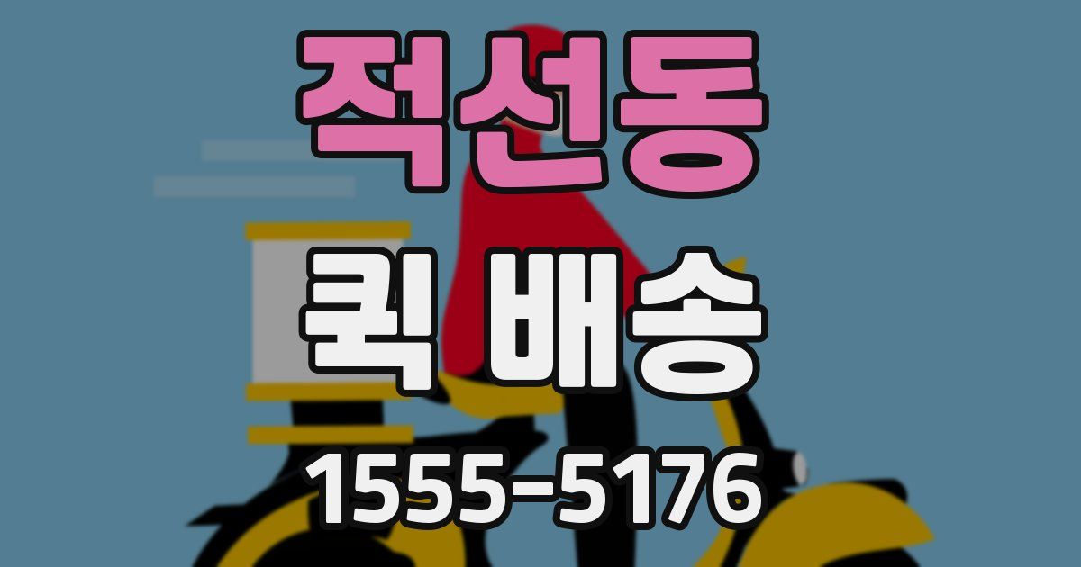 적선동 퀵 배송