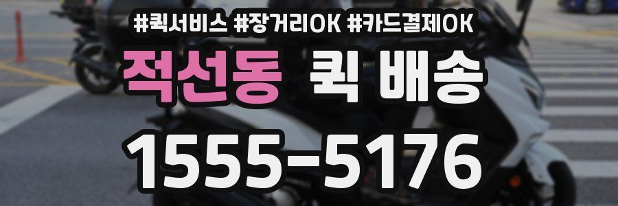 적선동 퀵 배송