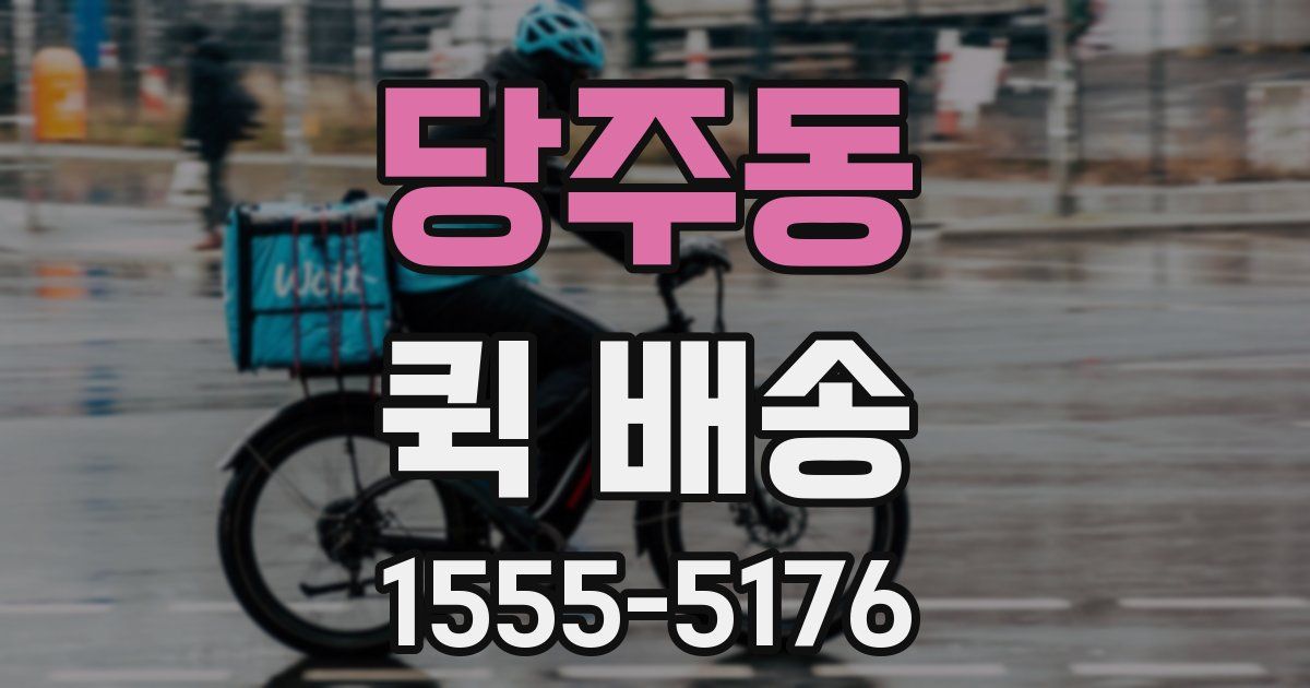 당주동 퀵 배송