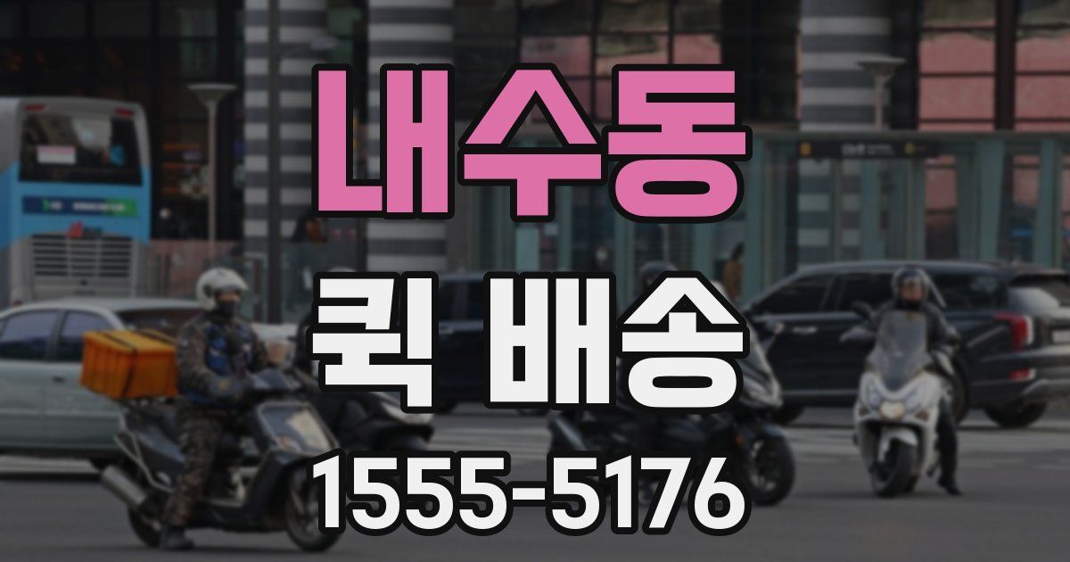 내수동 퀵 배송