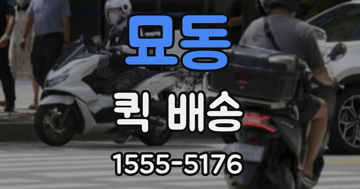 묘동 퀵 배송