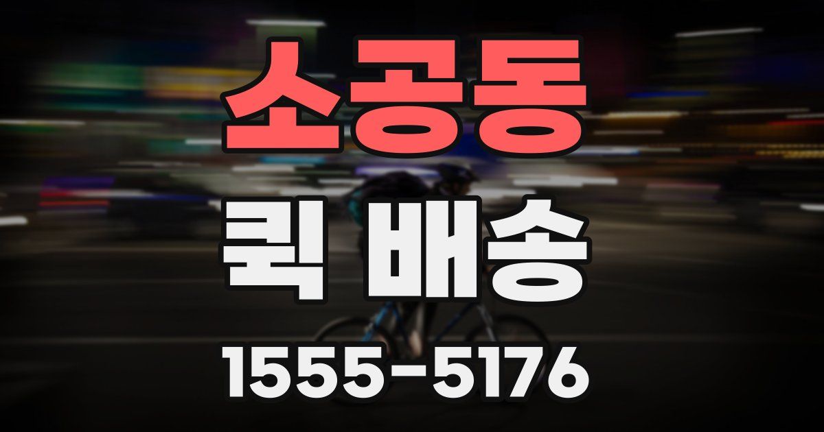 소공동 퀵 배송