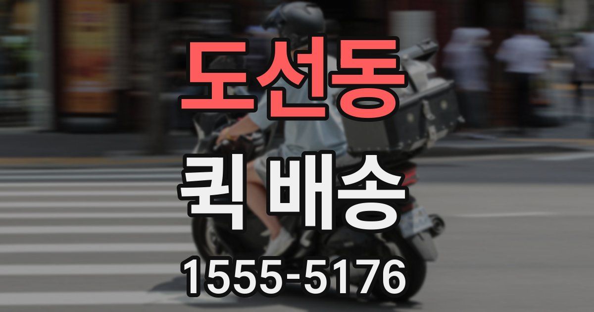 도선동 퀵 배송
