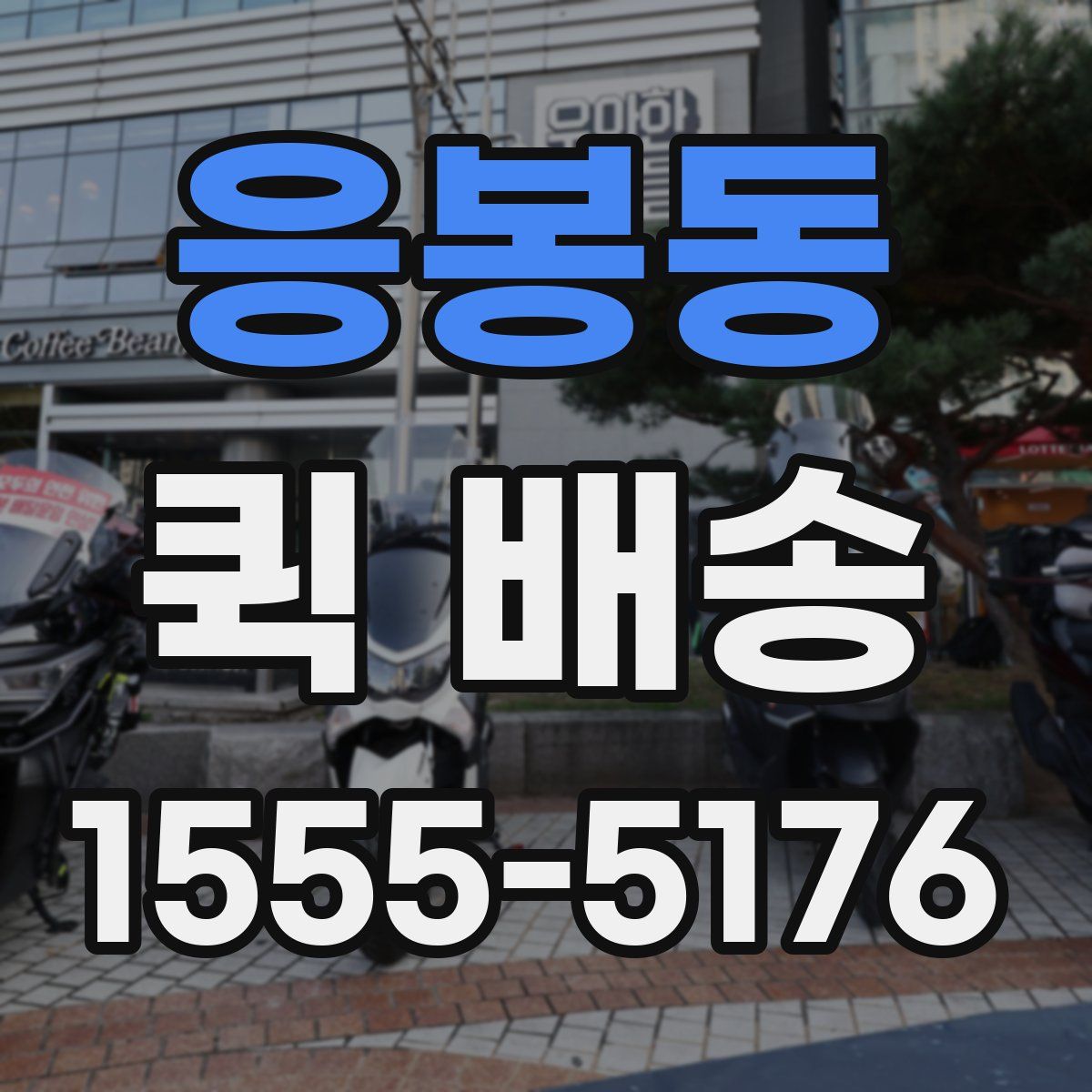 응봉동 퀵 배송