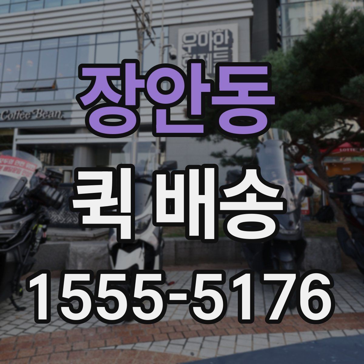 장안동 퀵 배송 비용과 거리 관계를 이해하기