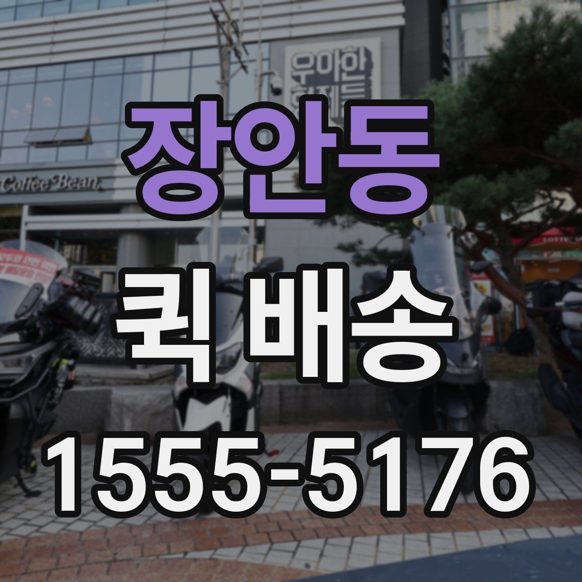 장안동 퀵 배송