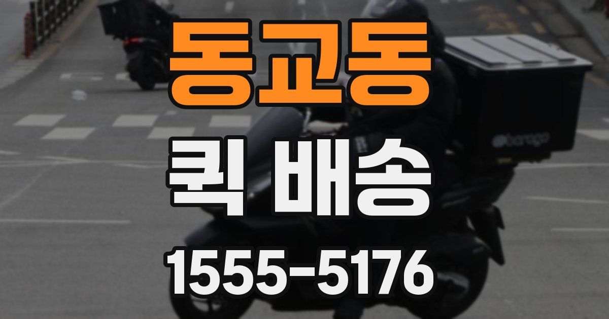 동교동 퀵 배송