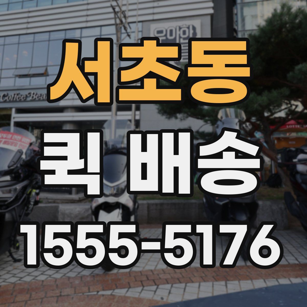 서초동 퀵 배송
