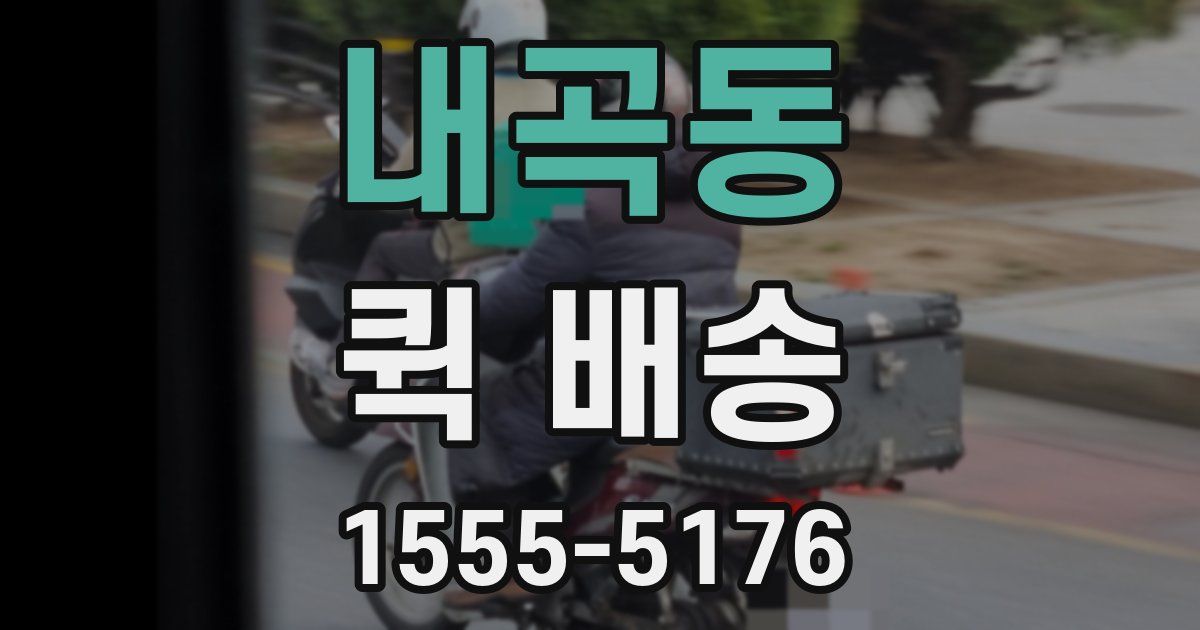 내곡동 퀵 배송