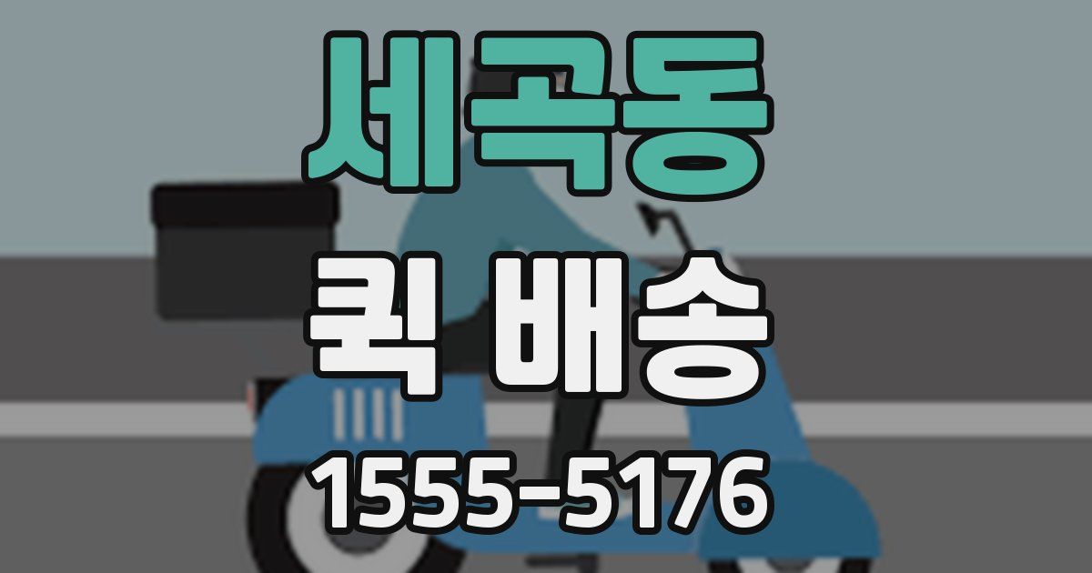 세곡동 퀵 배송